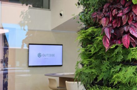 Gutisse