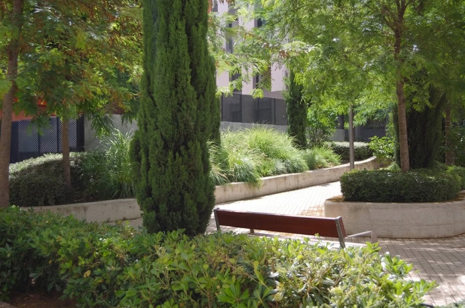 Plaza de Tetuán de Madrid transformada en oasis urbano por MIX Paisaje, ganadora del Premio Proyecto Entornos en los IV Premios Escala de Interiorismo 2026